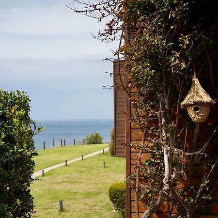 Lumi By Atasagon Well-being Campsite Bodrum